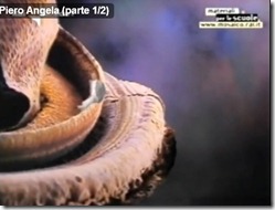 screenshot.9